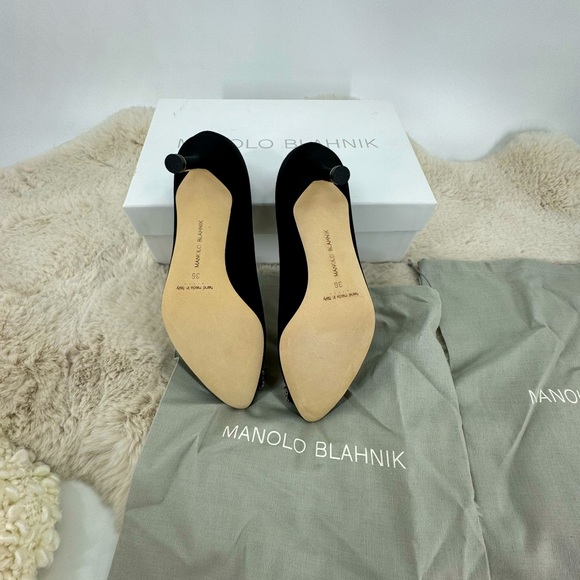 Manolo Blahnik Hangsi Pump - Picture 7 of 7